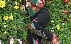 把女朋友弄成小喷泉是什么意思